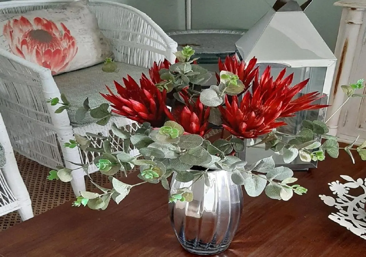 *** Guest house The Greenhouse Guesthouse Cape Town South Africa
