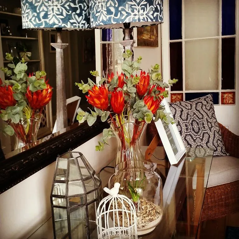 The Greenhouse Guesthouse Cape Town 3*,  South Africa